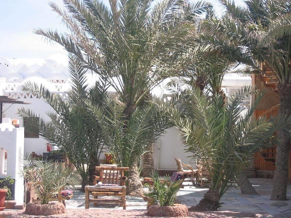 Inmo Divers Home Dahab Kültér fotó