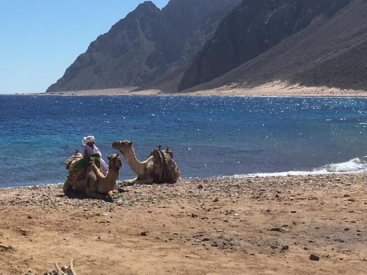 Inmo Divers Home Dahab Kültér fotó
